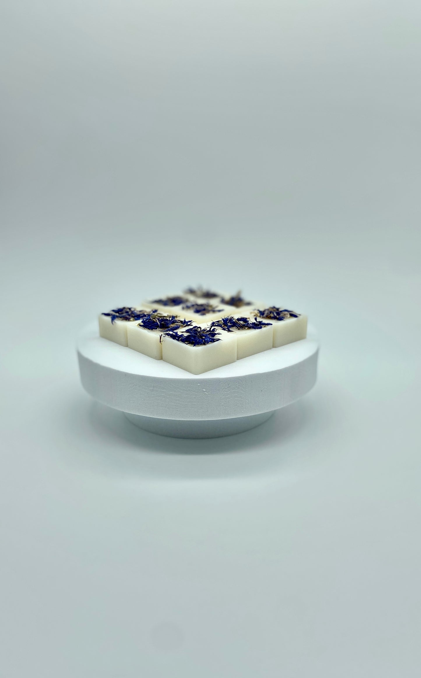 Tarts - NORDIC AMBER