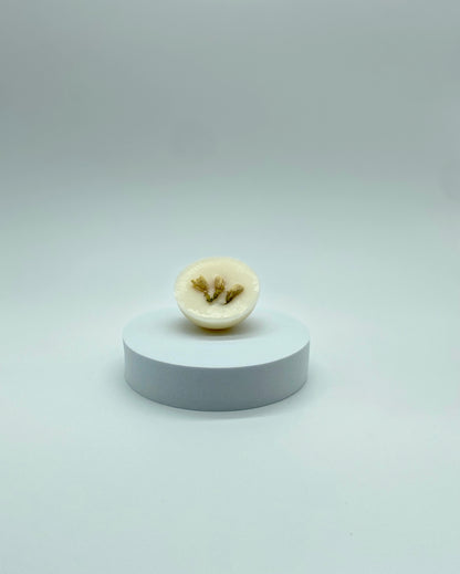 Melts - JASMINE FRAGRANCE