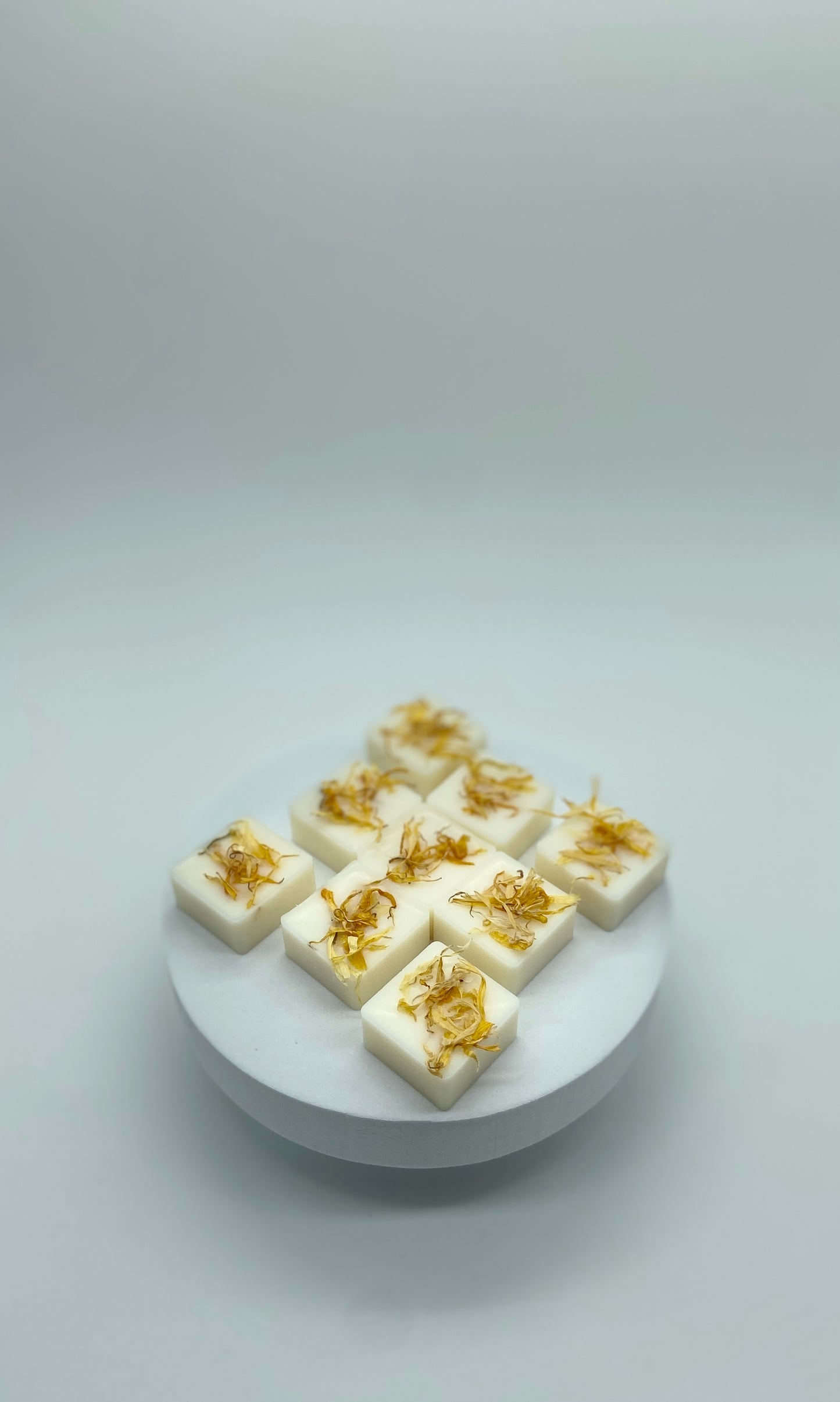 Tarts - ORANGE BLOSSOM
